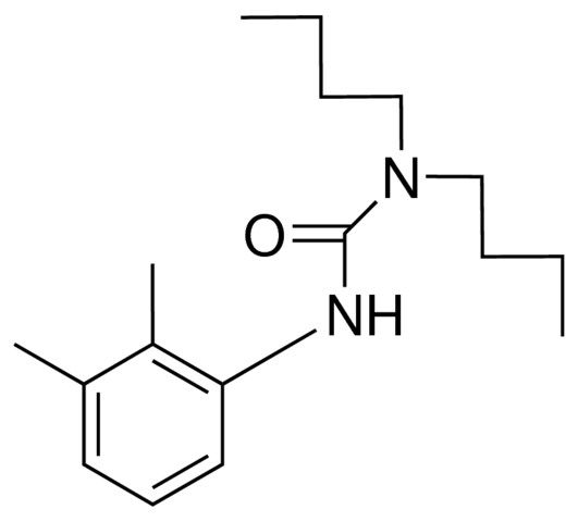 1,1-DIBUTYL-3-(2,3-XYLYL)UREA