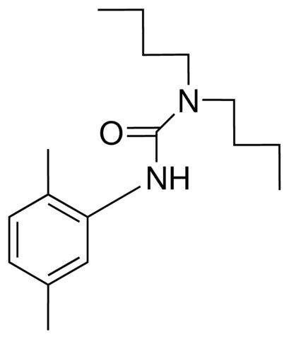 1,1-DIBUTYL-3-(2,5-XYLYL)UREA