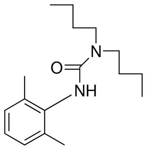 1,1-DIBUTYL-3-(2,6-XYLYL)UREA