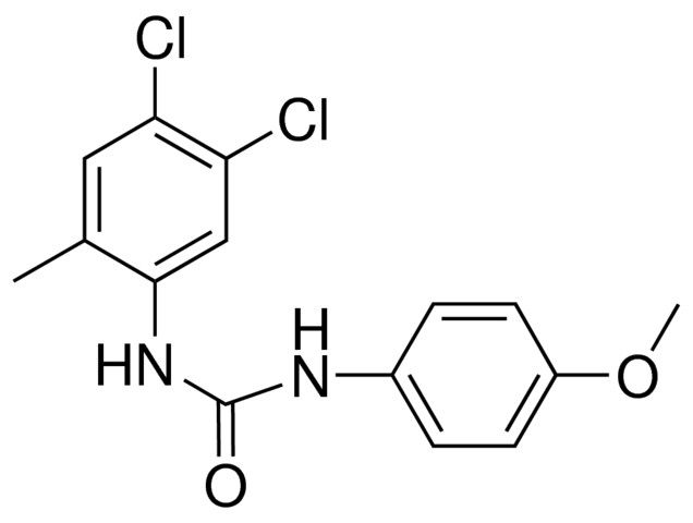 1-(4,5-DICHLORO-2-METHYLPHENYL)-3-(4-METHOXYPHENYL)UREA