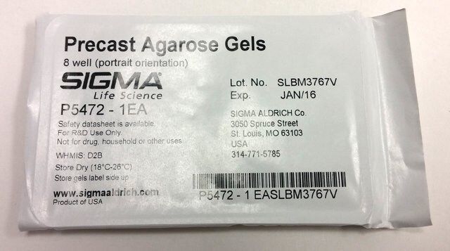 Precast Agarose Gels