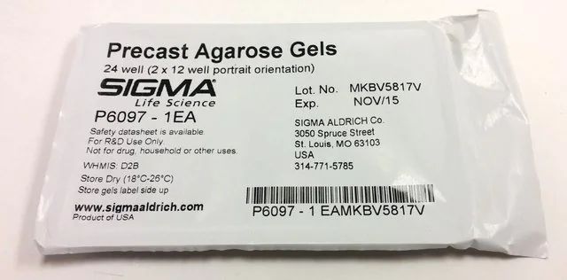 Precast Agarose Gels