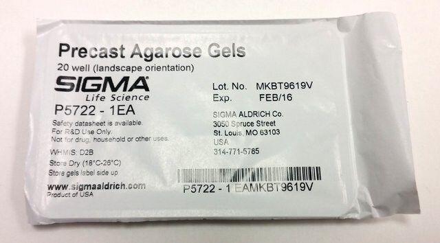 Precast Agarose Gels