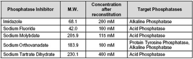 Phosphatase Inhibitor Cocktail Set II, Lyophilized-Calbiochem