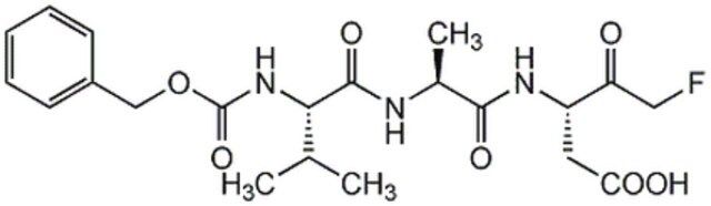 InSolution Caspase Inhibitor VI-Calbiochem