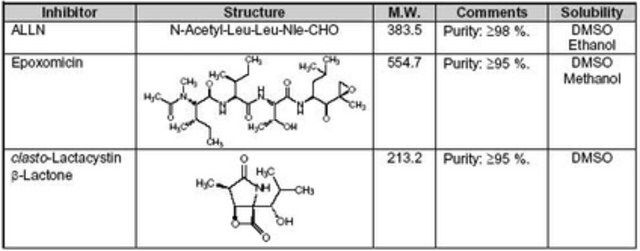 Proteasome Inhibitor Set II-Calbiochem