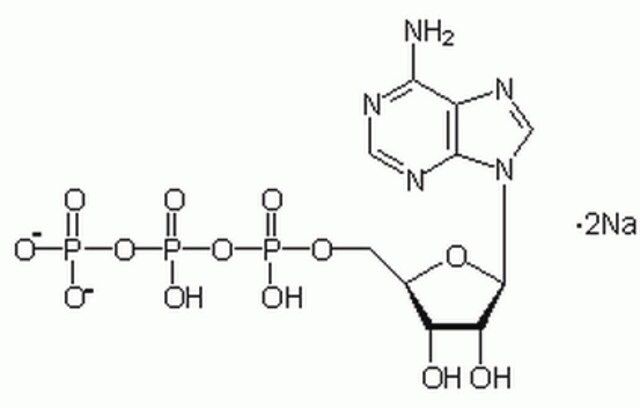 Adenosine 5'-Triphosphate, Disodium, Trihydrate, Low Metals Grade-CAS 987-65-5-Calbiochem