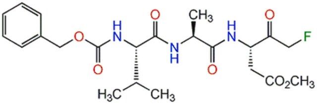 InSolution Caspase Inhibitor I-Calbiochem