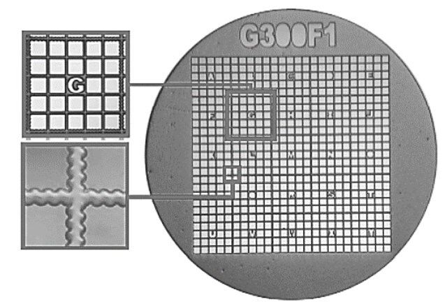 Gilder Finder Grids G300F1