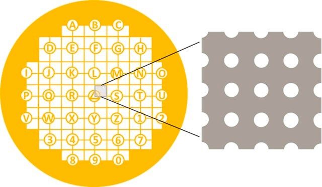 QUANTIFOIL on London Finder Grids (H15)