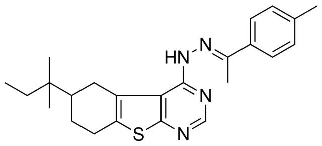 (1E)-1-(4-METHYLPHENYL)ETHANONE (6-TERT-PENTYL-5,6,7,8-TETRAHYDRO[1]BENZOTHIENO[2,3-D]PYRIMIDIN-4-YL)HYDRAZONE