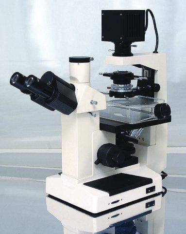 Jenco<sup>TM</sup> inverted compound microscopes