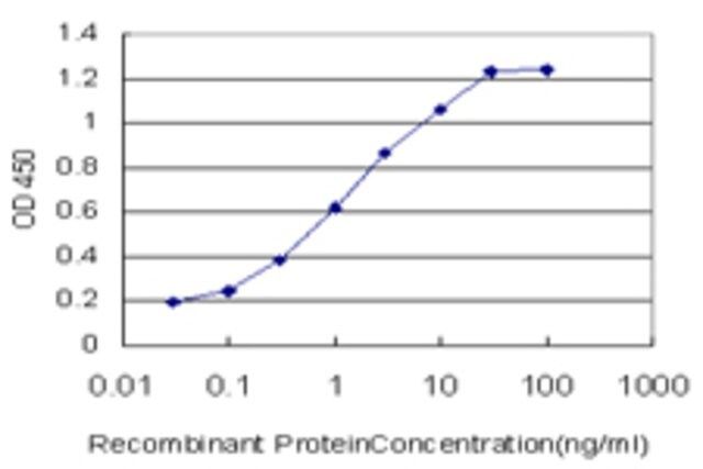 Monoclonal Anti-RABIF antibody produced in mouse