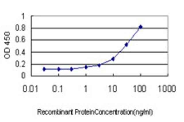 Monoclonal Anti-PRKACB antibody produced in mouse