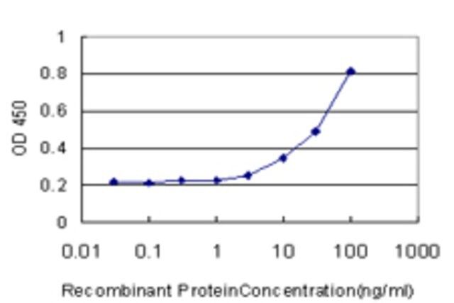 Monoclonal Anti-EPHX1 antibody produced in mouse