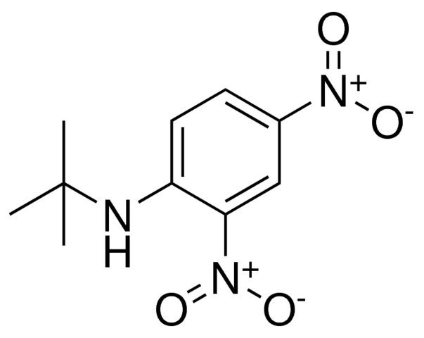 TERT-BUTYL-(2,4-DINITRO-PHENYL)-AMINE