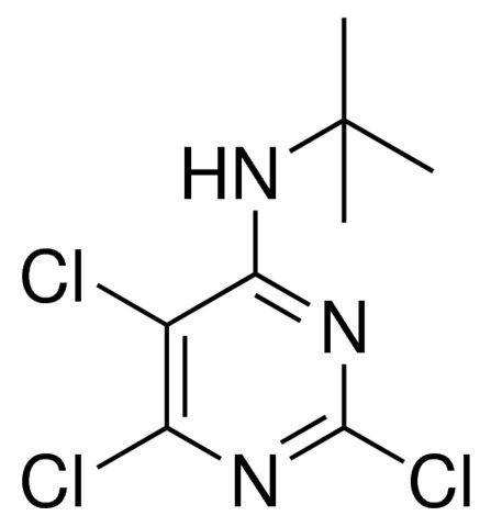 TERT-BUTYL-(2,5,6-TRICHLORO-PYRIMIDIN-4-YL)-AMINE