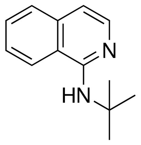 TERT-BUTYL-ISOQUINOLIN-1-YL-AMINE