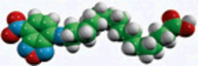 palmitic acid-NBD