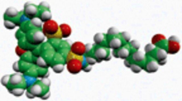 palmitic acid-lissamine rhodamine