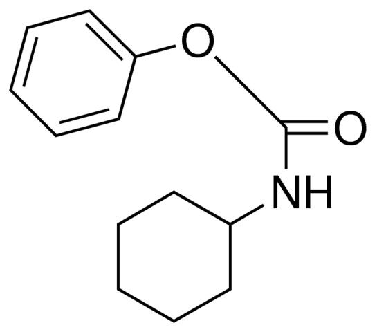 PHENYL N-CYCLOHEXYLCARBAMATE