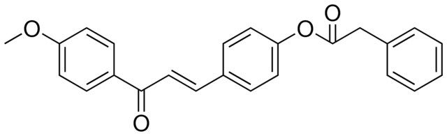 PHENYL-ACETIC ACID 4-(3-(4-METHOXY-PHENYL)-3-OXO-PROPENYL)-PHENYL ESTER