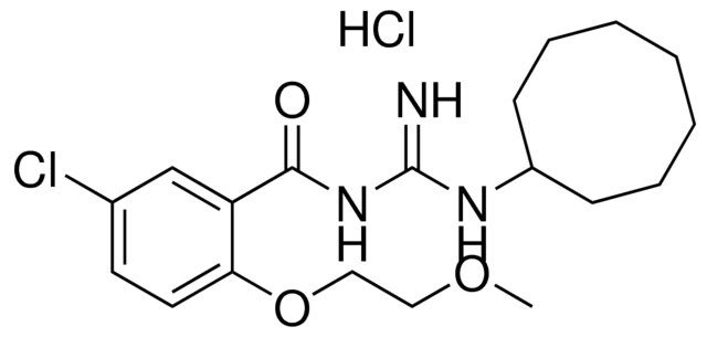 N-(5-CHLORO-2-(2-METHOXY-ETHOXY)-BENZOYL)-N'-CYCLOOCTYL-GUANIDINE, HYDROCHLORIDE