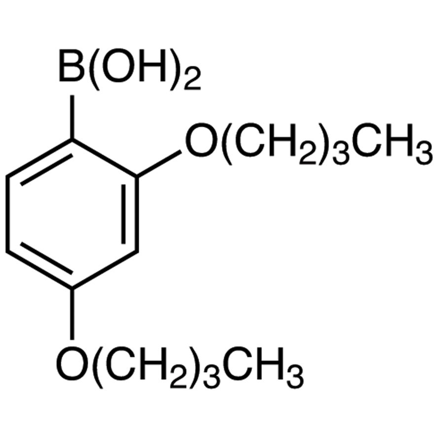 2,4-Dibutoxyphenylboronic Acid (contains varying amounts of Anhydride)