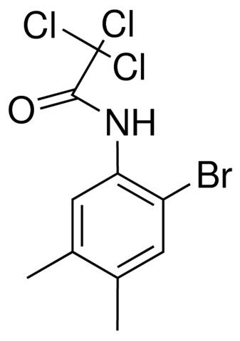 N-(2-BROMO-4,5-DIMETHYLPHENYL)-2,2,2-TRICHLOROACETAMIDE