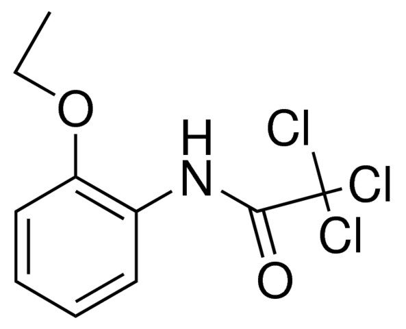 N-(2-ETHOXYPHENYL)-2,2,2-TRICHLOROACETAMIDE