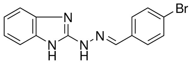 N-(1H-BENZOIMIDAZOL-2-YL)-N'-(4-BROMO-BENZYLIDENE)-HYDRAZINE