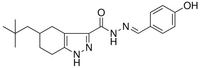 N'-[(E)-(4-HYDROXYPHENYL)METHYLIDENE]-5-NEOPENTYL-4,5,6,7-TETRAHYDRO-1H-INDAZOLE-3-CARBOHYDRAZIDE