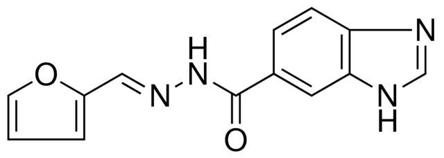 N'-(2-FURYLMETHYLENE)-1H-BENZIMIDAZOLE-6-CARBOHYDRAZIDE