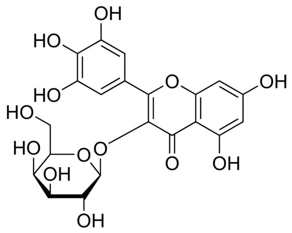 Myricetin 3-O--D-Galactopyranoside