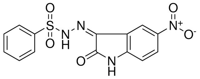 N'-[(3Z)-5-NITRO-2-OXO-1,2-DIHYDRO-3H-INDOL-3-YLIDENE]BENZENESULFONOHYDRAZIDE