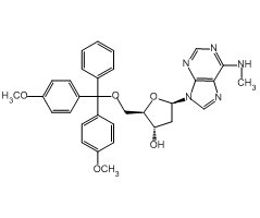 2'-Deoxy-5'-O-dimethoxytrityl-N<sup>6</sup>-methyladenosine