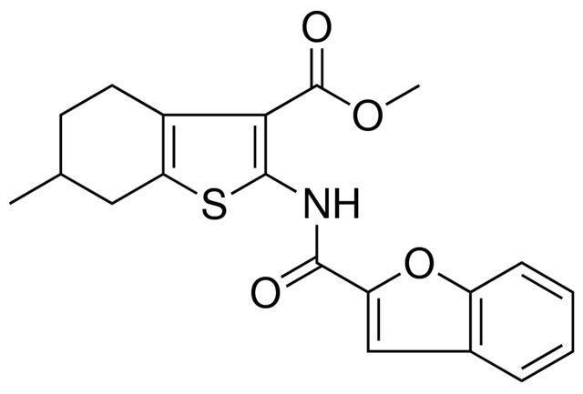 METHYL 2-[(1-BENZOFURAN-2-YLCARBONYL)AMINO]-6-METHYL-4,5,6,7-TETRAHYDRO-1-BENZOTHIOPHENE-3-CARBOXYLATE