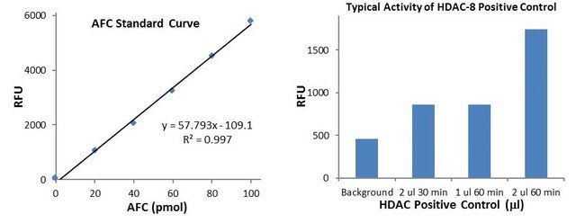 Histone Deacetylase 8 (HDAC8) Activity Assay Kit