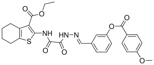 ETHYL 2-{[((2E)-2-{3-[(4-METHOXYBENZOYL)OXY]BENZYLIDENE}HYDRAZINO)(OXO)ACETYL]AMINO}-4,5,6,7-TETRAHYDRO-1-BENZOTHIOPHENE-3-CARBOXYLATE