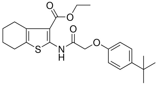 ETHYL 2-{[(4-TERT-BUTYLPHENOXY)ACETYL]AMINO}-4,5,6,7-TETRAHYDRO-1-BENZOTHIOPHENE-3-CARBOXYLATE