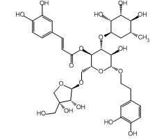 Forsythoside B