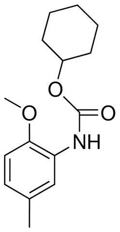 CYCLOHEXYL N-(2-METHOXY-5-METHYLPHENYL)CARBAMATE