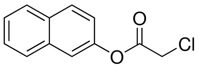 CHLORO-ACETIC ACID NAPHTHALEN-2-YL ESTER