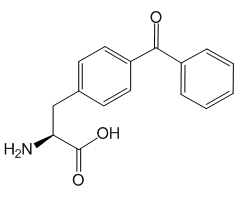 4-Benzoyl-L-phenylalanine