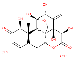 Eurycomanone