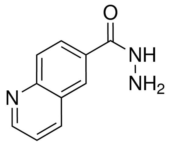 6-Quinolinecarbohydrazide