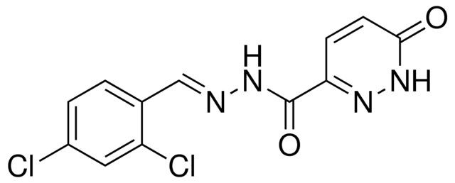 6-OXO-1,6-2H-PYRIDAZINE-3-CARBOXYLIC ACID (2,4-DICHLORO-BENZYLIDENE)-HYDRAZIDE