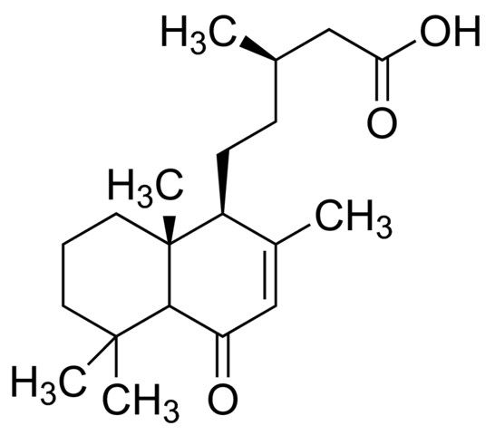 6-Oxocativic acid