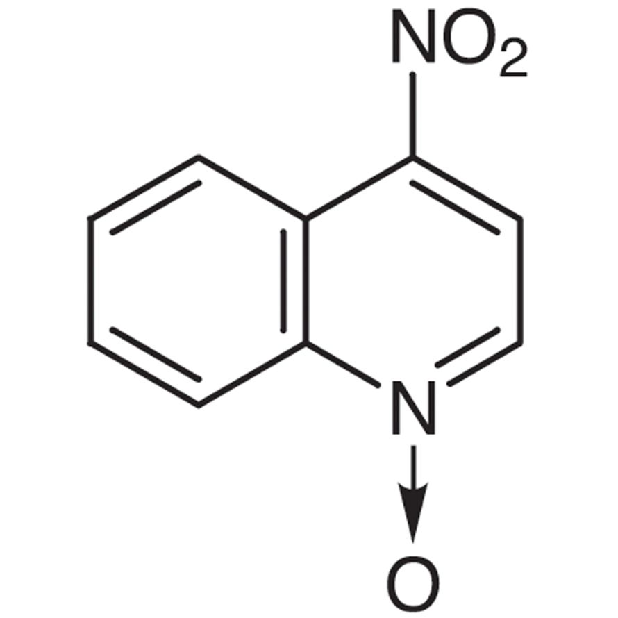 4-Nitroquinoline N-Oxide