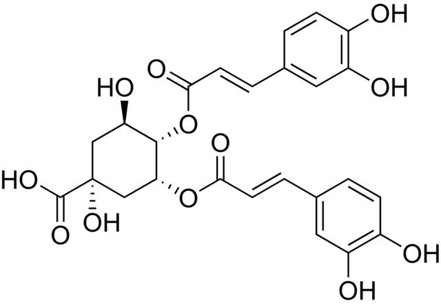 4,5-Di-O-caffeoylquinic acid